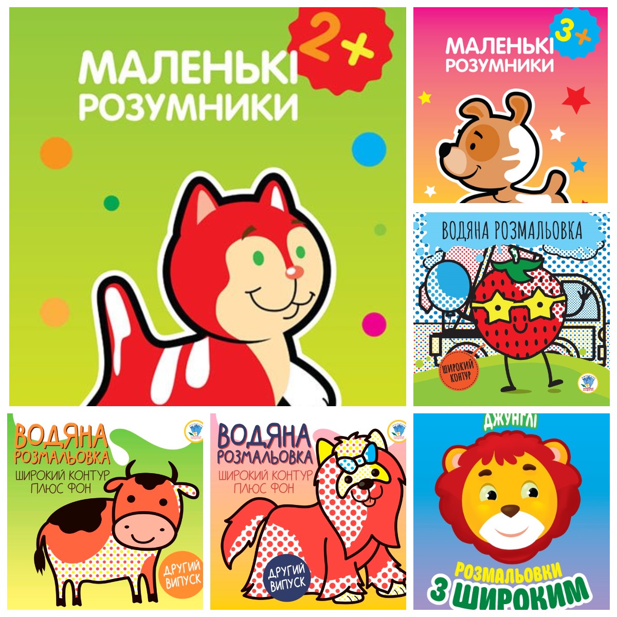 collection 24