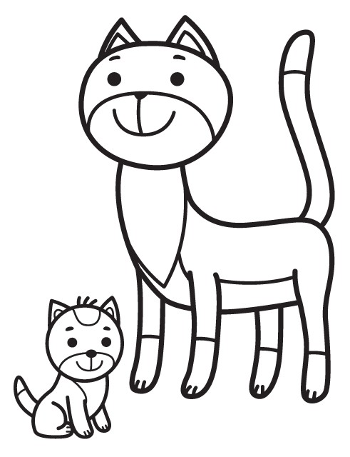 cat