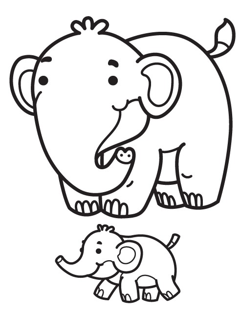 hippo